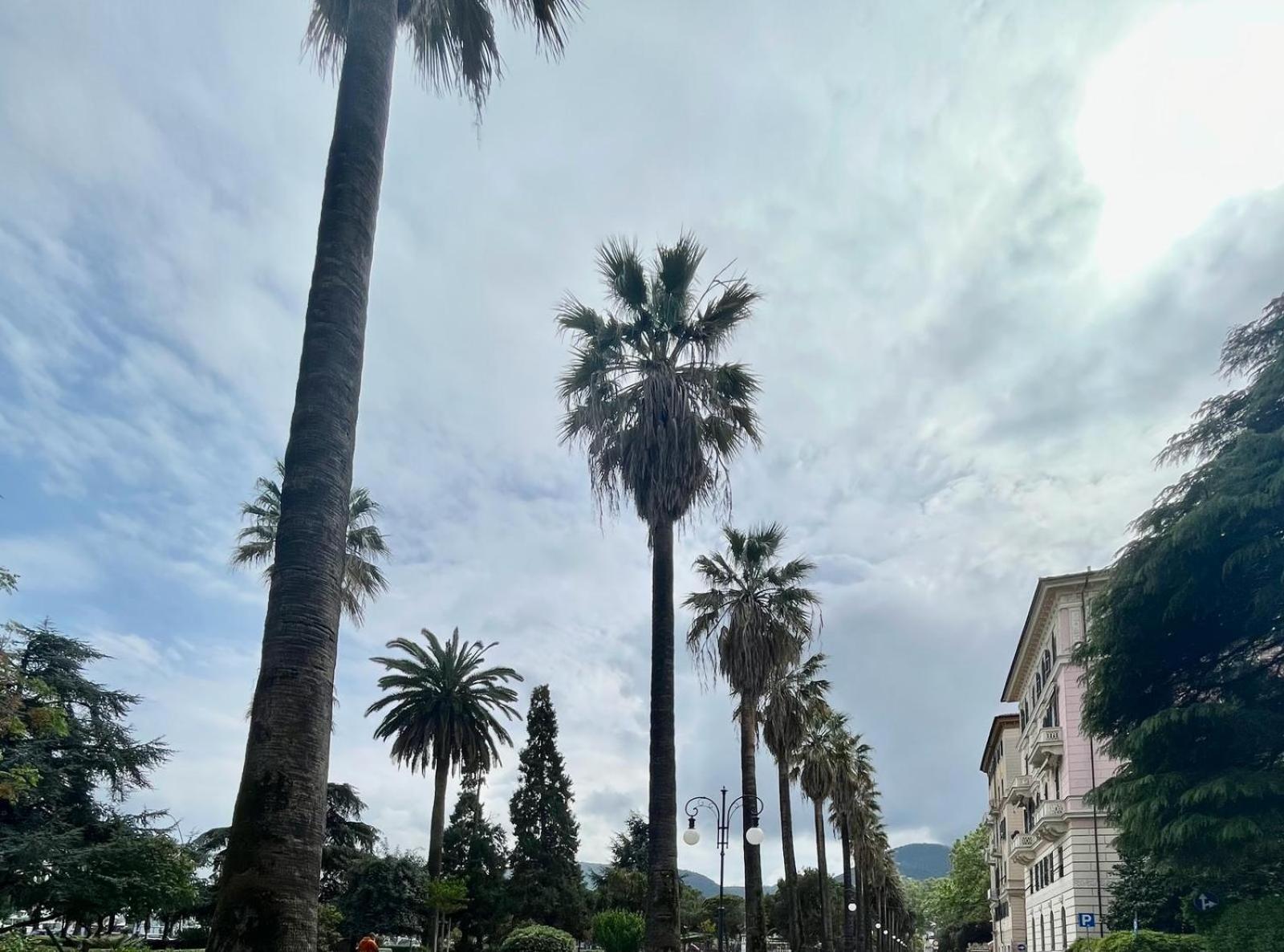 Breathe Liguria - Lucy 1 Bedroom And 1 Apartment In A Newly Renovated Nineteenth-Century Building In The Historic Center Near The Sea La Spezia Bagian luar foto